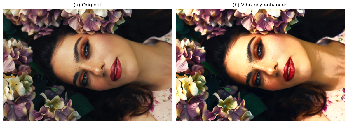 How to Create Stunning Dot Pattern Portraits, using Python – Number-Smithy